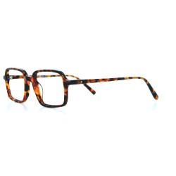 The Boxer Kleur Tortoise Bruin