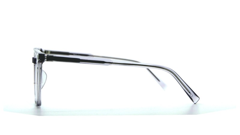 Alive Kleur Transparant Grijs