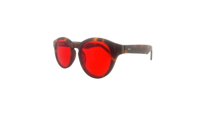 Viva La Vida Tortoise Brown