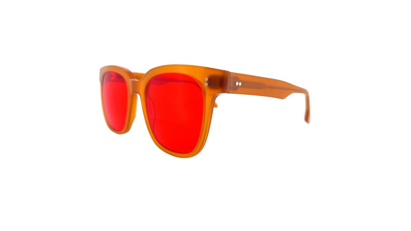 The Winner Takes It All