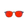 Colour: Tortoise Bruin