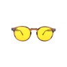 Colour: Tortoise Bruin