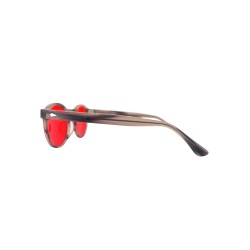 I Wil Survive blue light glasses Sleep 550nm | BIONAUT™
